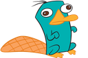 perrytheplatypus