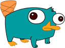 perrypus