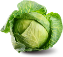 cabbage93