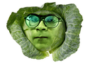 cabbage3