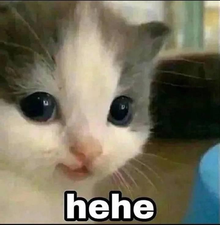 teheheheh