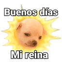buenosdiasmirein