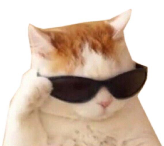 catsunglasses