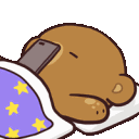 bearsleepy