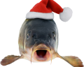christmasfish65