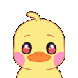 cuteduckwave73