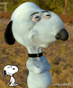 snoopy34