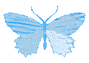 butterflyblue