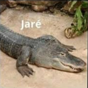 jare48