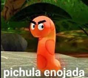 pichulaenojada