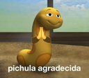 pichula33