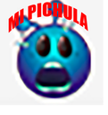 pichula32