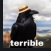 terrible26
