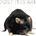 postthisrat0