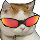 gatospace88