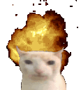 gatoexplosion89