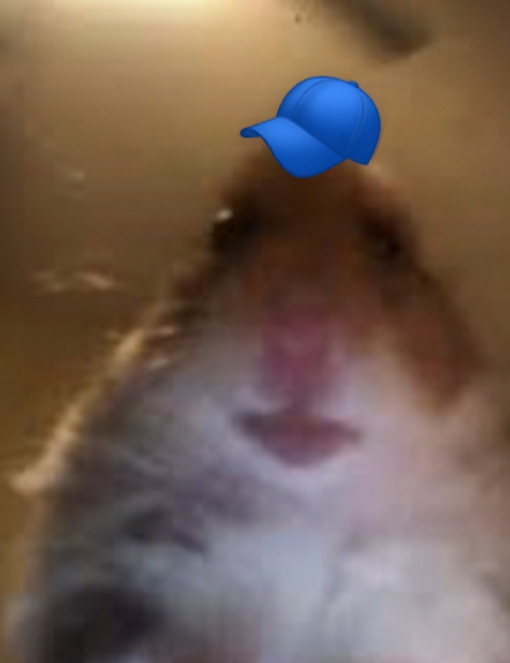 rat
