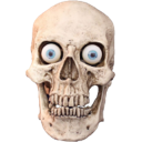 realisticskull