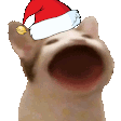 ypopcatfestive22