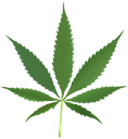 cannabisleaf2