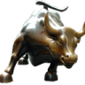 bull56