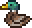 terrariaduck