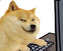 dogehacker86