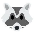 raccoon
