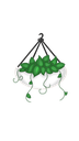 hangingplant24