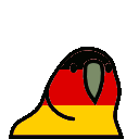 germanyparrot6