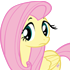 fluttershy73