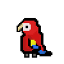 macaw95