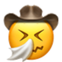 sneezingcowboy5