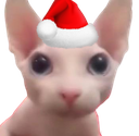 christmascat37