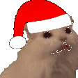 christmascatmeow