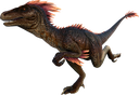 raptor39