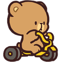 bearsbike47