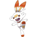 scorbunny55