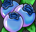 blueberrys70