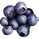 blueberry63