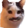 catmustache69