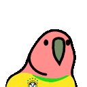 brazilianplayerp