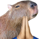 capybarapray