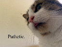 pathetic33