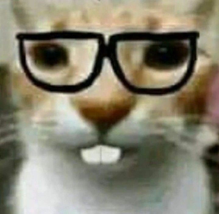 nerdcat