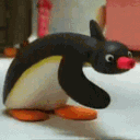 pingu