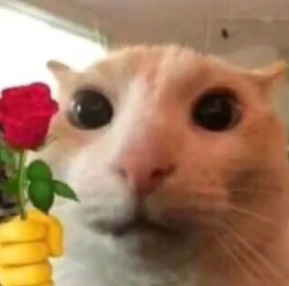 rosecat