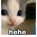 hehe
