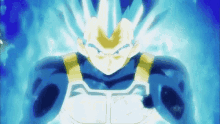 ssjvegeta