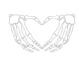 skeletonheart